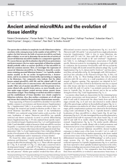 Ancient animal microRNAs and the evolution of