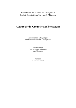 Autotrophy in Groundwater Ecosystems