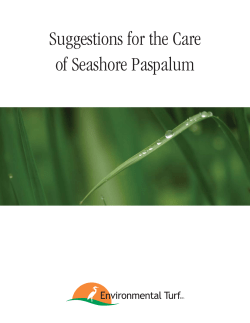Suggestions for the Care of Seashore Paspalum