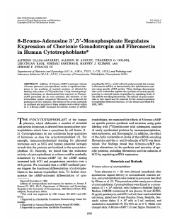 8-Bromo-Adenosine 3`,5`-Monophosphate