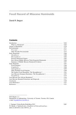 Fossil Record of Miocene Hominoids - Anthropology