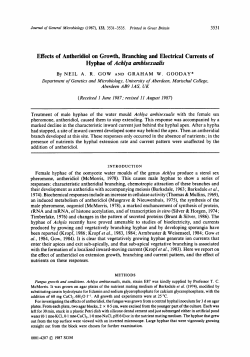 Effects of Antheridiol on Growth, Branching and