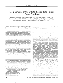 Morphometry of the Orbital Region Soft Tissues
