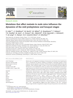 Mutations that affect meiosis in male mice influence the dynamics of