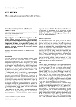 MINI REVIEW Glycoconjugate structures of parasitic protozoa