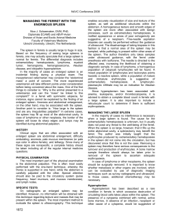 managing the ferret with the enormous spleen