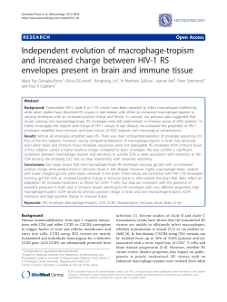 Independent evolution of macrophage