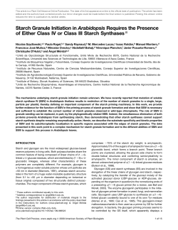Starch Granule Initiation in Arabidopsis Requires