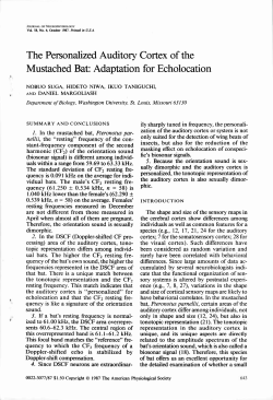 Mustached Bat Adaptation for Echolocation