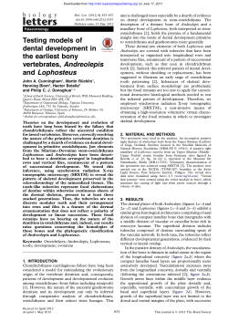 Testing models of dental development in the earliest bony