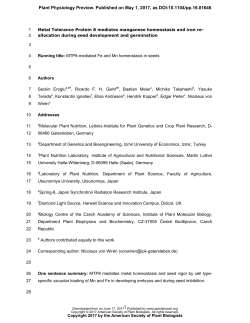 Metal Tolerance Protein 8 mediates manganese homeostasis and