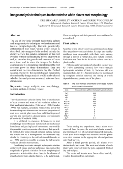 Image analysis techniques to charactertise white clover root