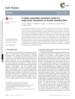 A single nucleotide resolution model for large