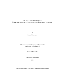 a robotic muscle spindle: neuromechanics of