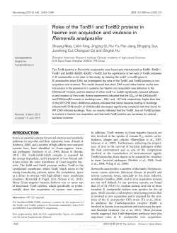 Roles of the TonB1 and TonB2 proteins in haemin
