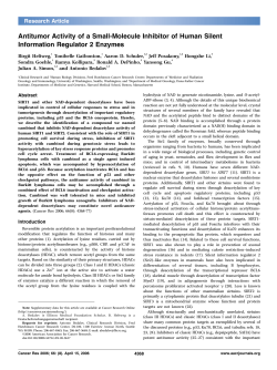 Antitumor Activity of a Small-Molecule Inhibitor of Human Silent