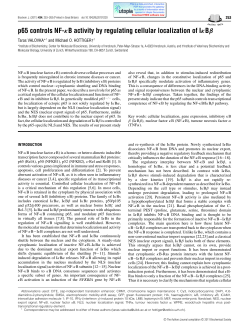 p65 controls NF-&kappa;B activity by regulating cellular localization of I&kappa;B&beta;