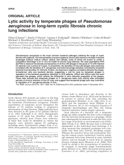 Lytic activity by temperate phages of Pseudomonas aeruginosa in