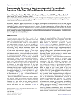 Supramolecular Structure of Membrane