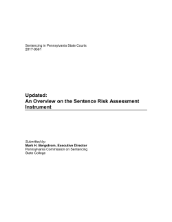Updated: An Overview on the Sentence Risk Assessment Instrument
