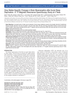 Gray Matter-Specific Changes in Brain Bioenergetics after Acute