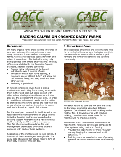 RAISING CALVES ON ORGANIC DAIRY FARMS