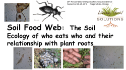 Mike Dorion, Living Soil