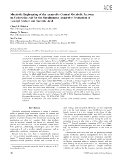 Metabolic engineering of the anaerobic central metabolic pathway in