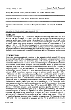 Binding of a pancreatic nuclear protein is correlated with amytase