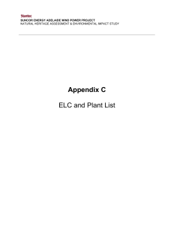 Appendix C - Plant List
