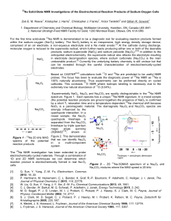 23Na Solid-State NMR Investigations of the