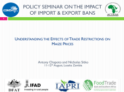 Understanding the Effects of Trade Restrictions on Maize Prices