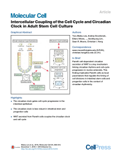 Intercellular Coupling of the Cell Cycle and Circadian Clock in Adult