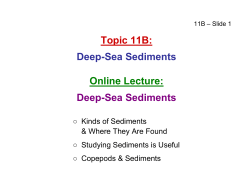 Deep-Sea Sediments