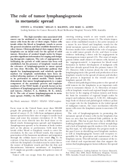 The role of tumor lymphangiogenesis in