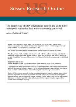 The Major Roles of DNA Polymerases Epsilon and Delta at the