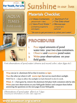 Step 1 1. Pour equal amounts of pond water into your
