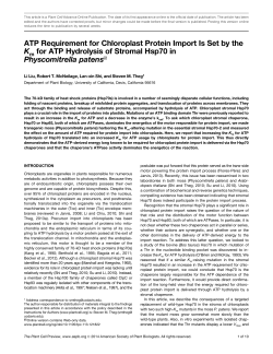 ATP Requirement for Chloroplast Protein Import Is