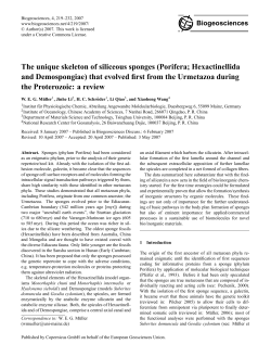 The unique skeleton of siliceous sponges