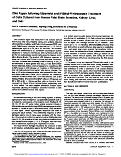 Ethyl-A/-nitrosourea Treatment of Cells Cultured from Human Fetal