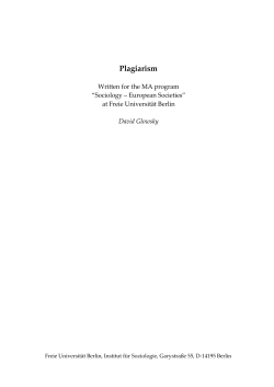 On Plagiarism - polsoz.fu-berlin.de