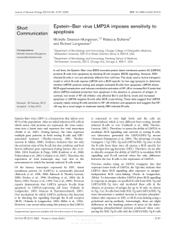Epstein&ndash;Barr virus LMP2A imposes sensitivity to apoptosis