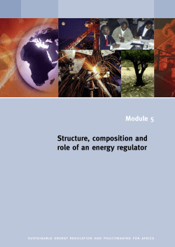 Structure, composition and role of an energy regulator