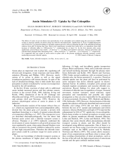 Auxin Stimulates Cl- Uptake by Oat Coleoptiles