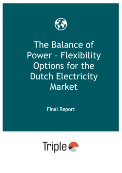The Balance of Power &ndash; Flexibility Options for the Dutch Electricity