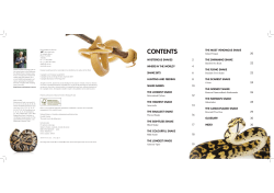 the longest snake