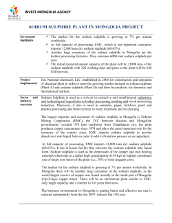 SODIUM SULPHIDE PLANT IN MONGOLIA PROJECT