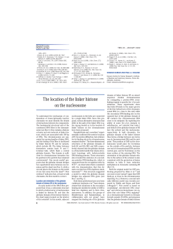 FRONTLINES The location of the linker histone on the nucleosome