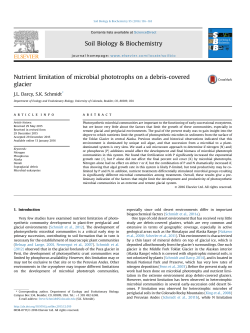 Nutrient limitation of microbial phototrophs on a debris