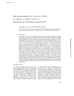 THE DEVELOPMENT OF VACCINIA VIRUS IN EARLE`S L STRAIN